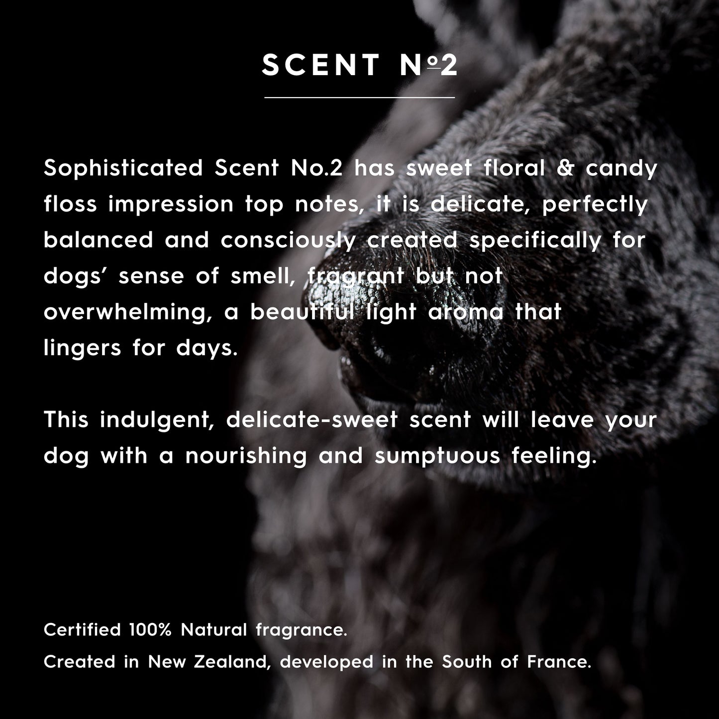 nourishing conditioner (250/500 ml) - scent no. 2