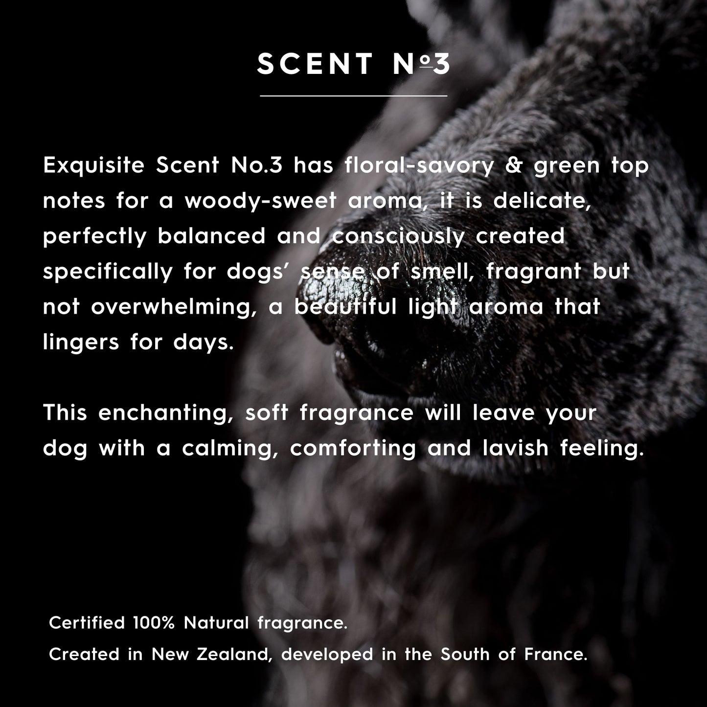 soothing shampoo (250/500 ml) - scent no.3