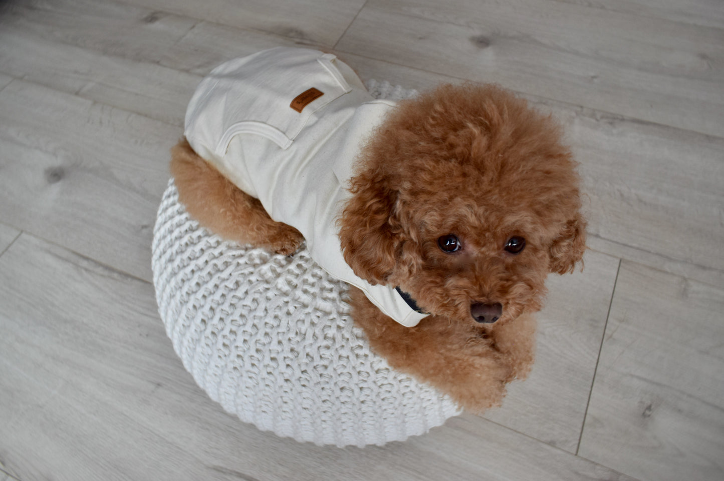 hoodie - soft ecru