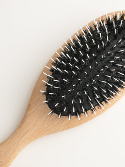 mixed-bristle-brush_dog_poodle_closeup