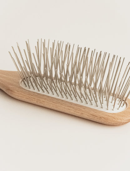 bristle brush