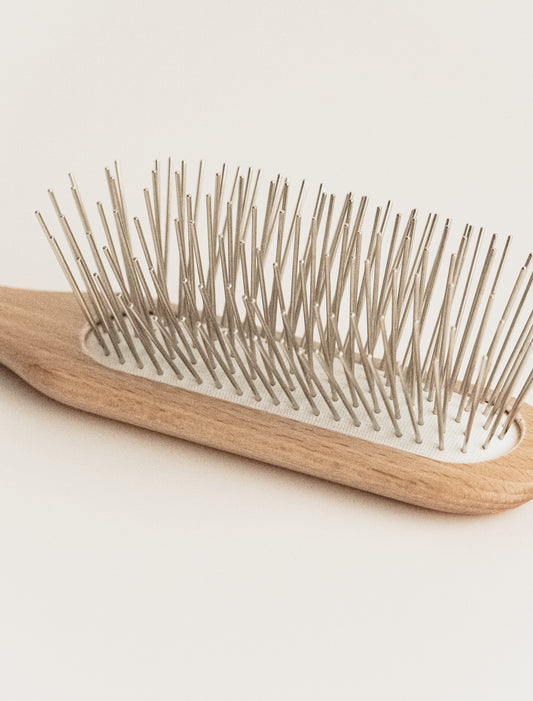 bristle brush