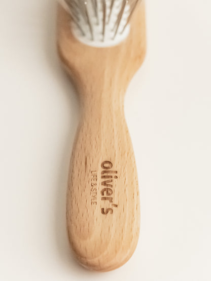 bristle brush