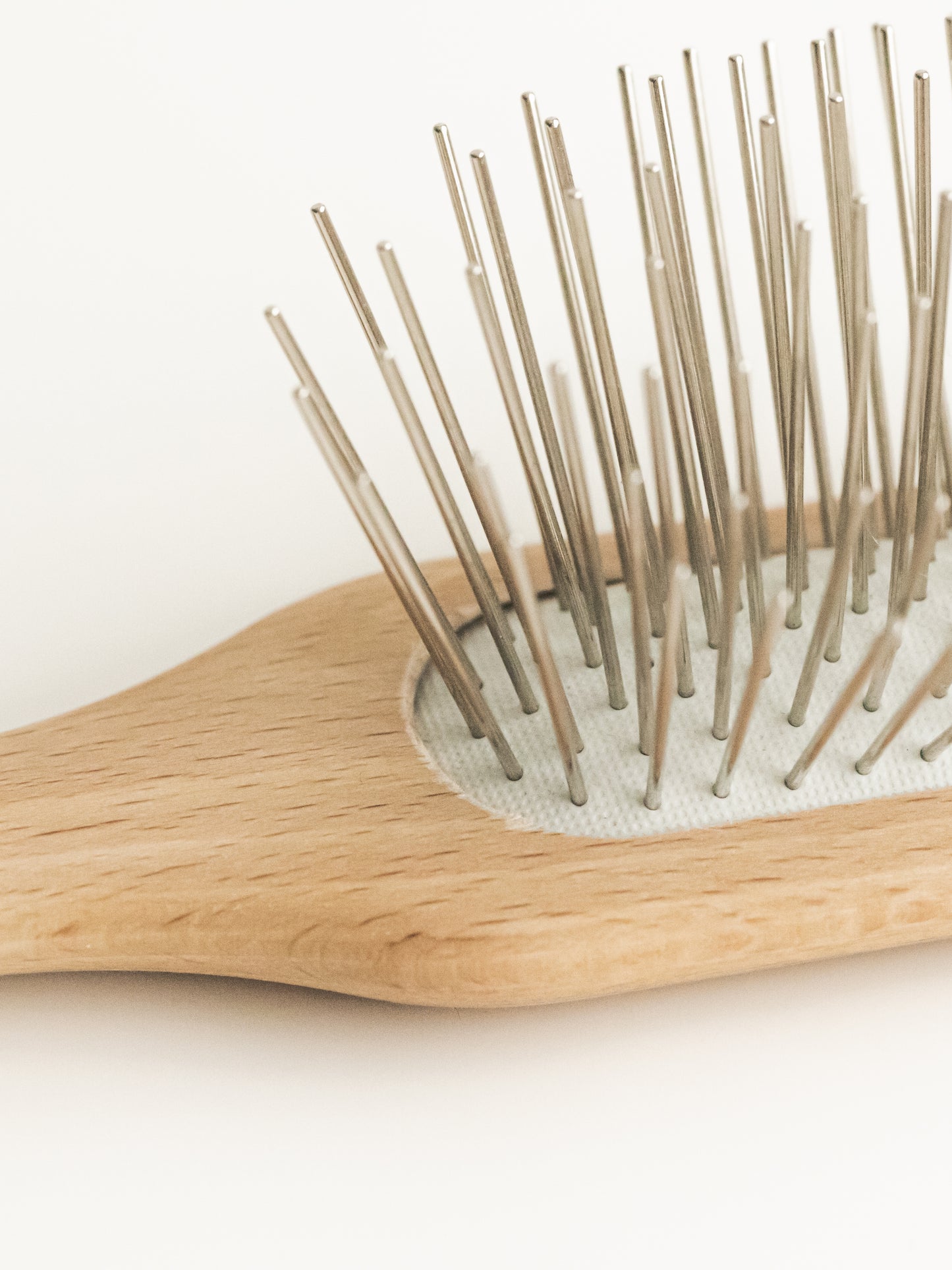bristle brush
