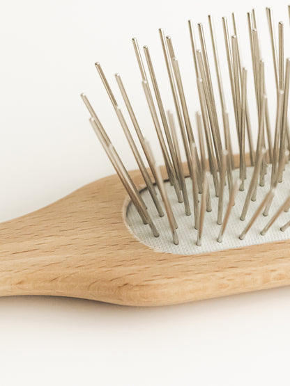 bristle brush