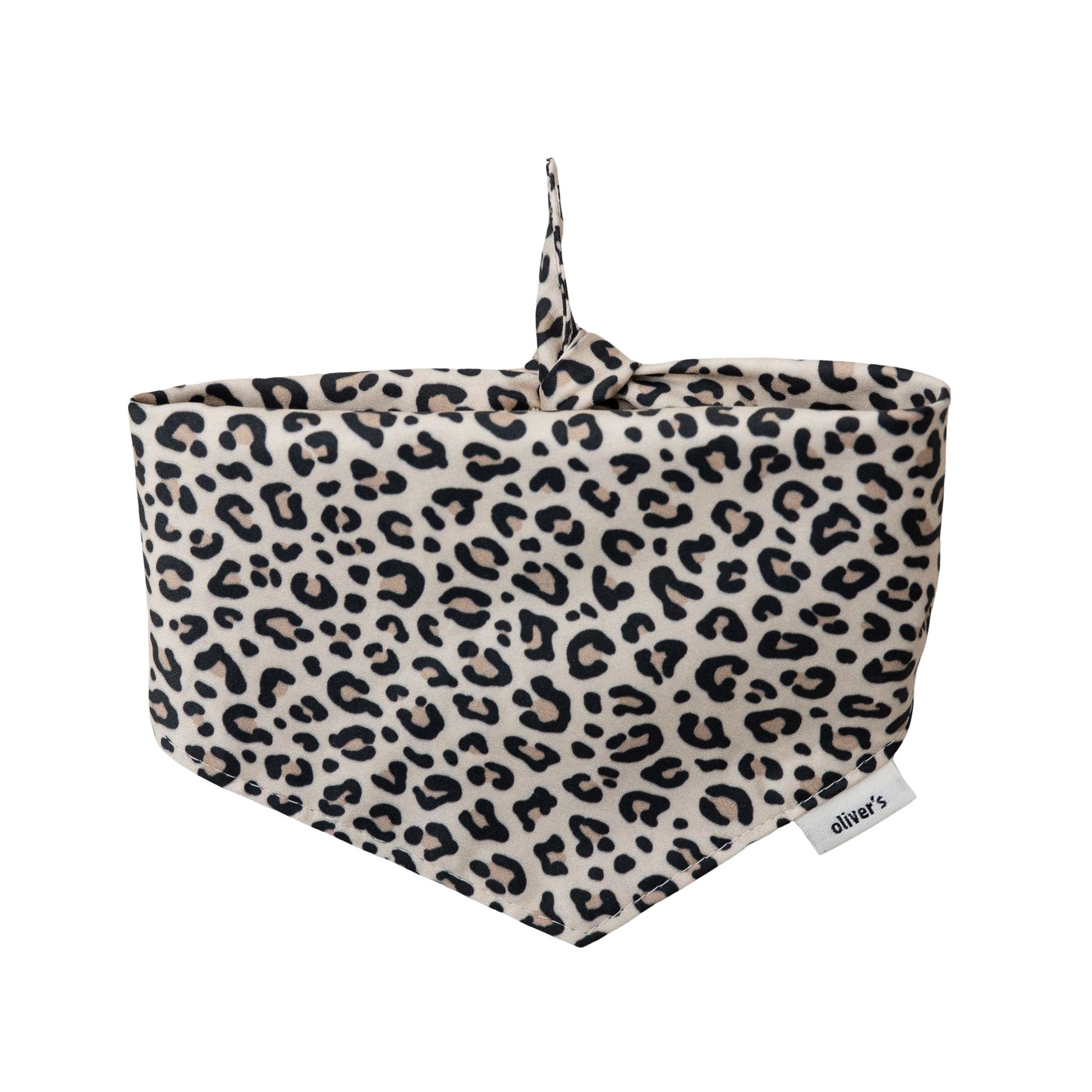 panther bandana _dog_poodle_brown