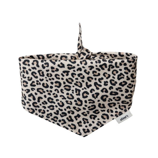 panther bandana _dog_poodle_brown