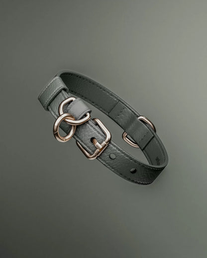 collar_dog_poodle_matcha_byTeddy