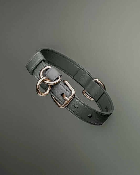collar_dog_poodle_matcha_byTeddy